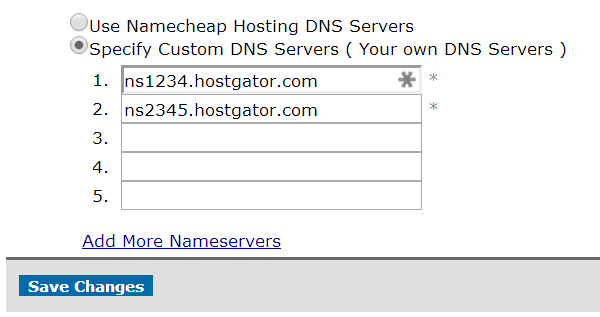 NameCheap Enter DNS