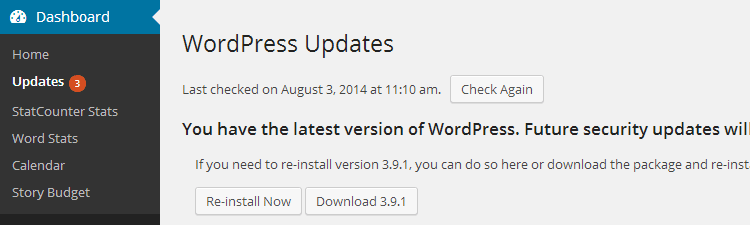 Essential Tasks Update WordPress